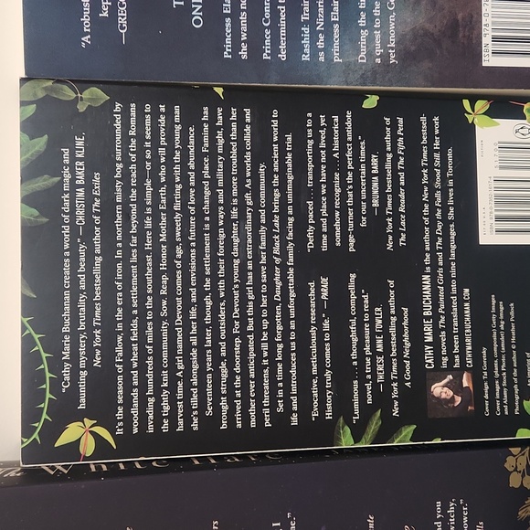 Book Bundle Fantasy & m Mystery Paperback books set - Picture 6 of 12